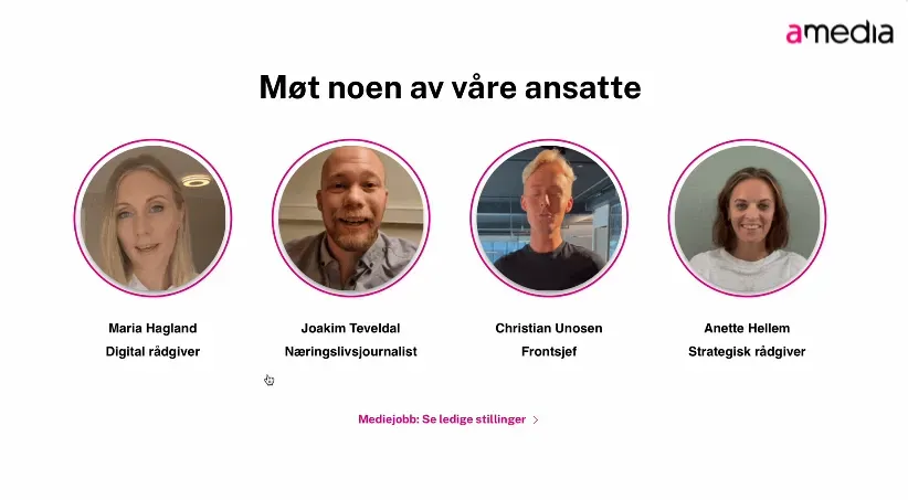 Gobi 2.0 — Story player